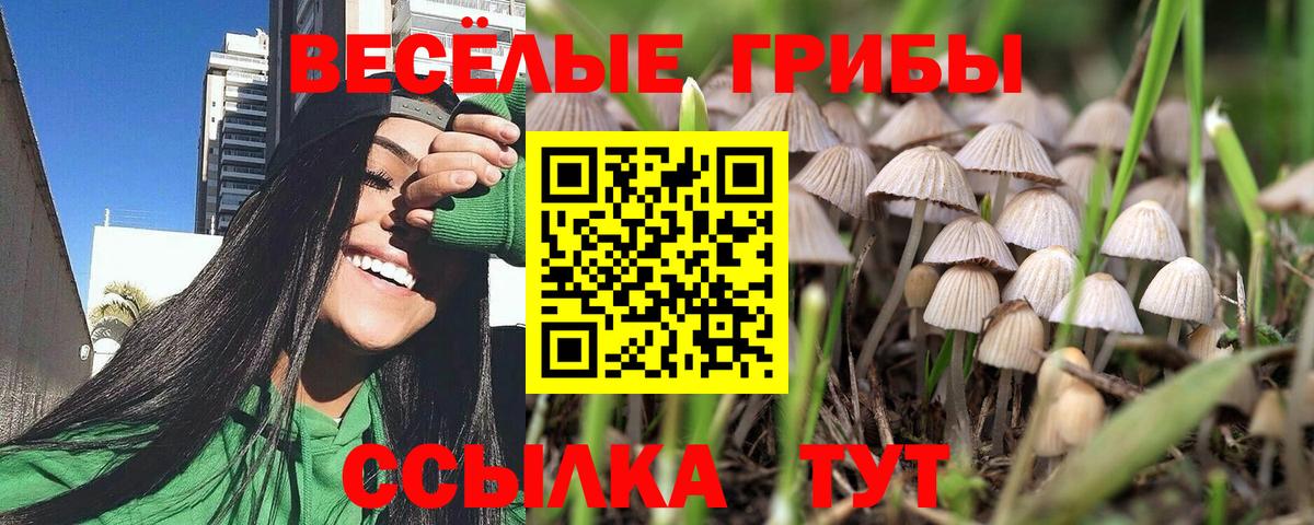 Галлюциногенные грибы мухоморы  Псилоцибиновые грибы Cubensis  Вход с VPN  Гатчина 